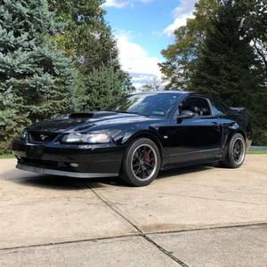 Meet your Posher, Noah